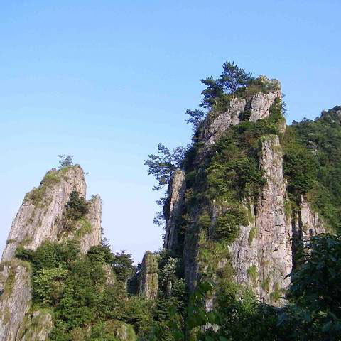 科技護(hù)林，走進(jìn)‘清涼峰’
